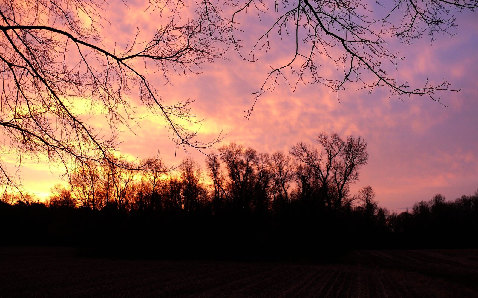 Eastern North Carolina farmland at sunrise near Mar-Mac - Self Storage Goldsboro