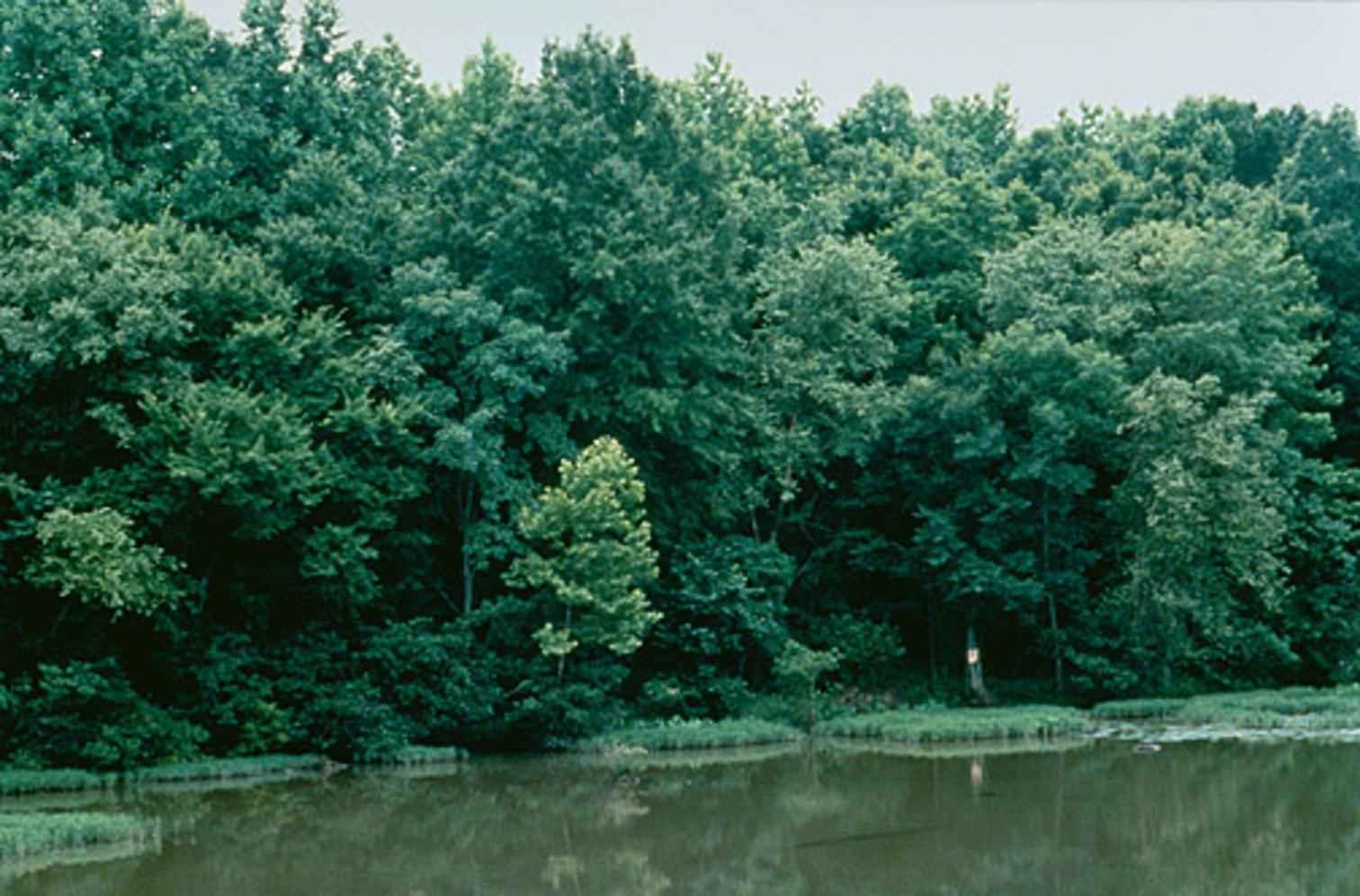 The Neuse River near Seven Springs, North Carolina - Self Storage Goldsboro